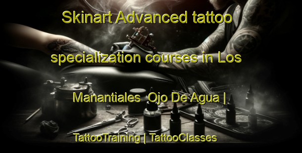 Skinart Advanced tattoo specialization courses in Los Manantiales  Ojo De Agua | TattooTraining | TattooClasses | SkinartTraining-Mexico